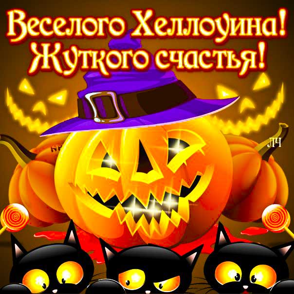 Хэллоуин гиф картинки. Тыква, ведьмы, черные коты, ужас