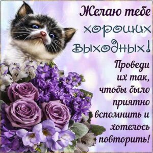 Хорошие выходные позитив открытка