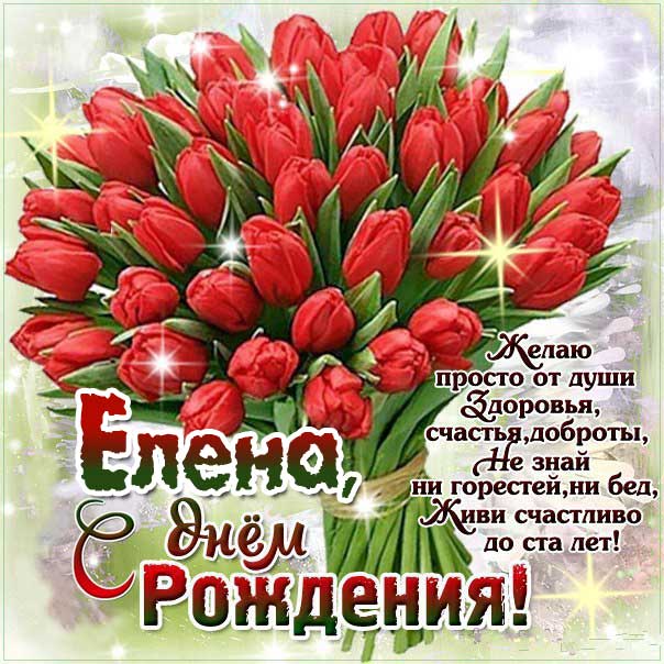 с днем рождения Елена тюльпаны