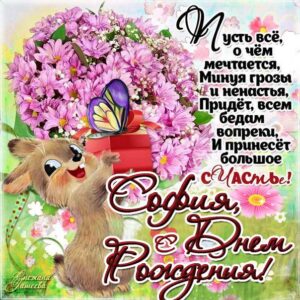 София поздравить открытки день рождения