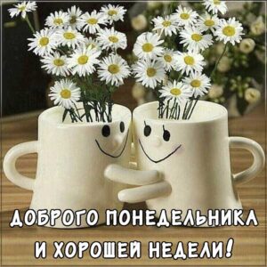 К понедельнику позитивные картинки