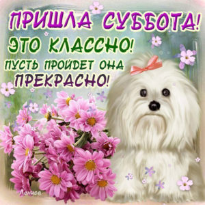 Открытки с пожеланием удачной Субботы