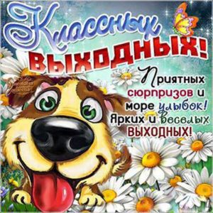Открытка классных выходных