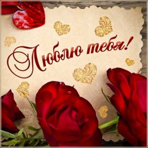 Картинка любим женщин розы
