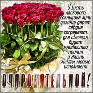 Картинка очаровательной розы