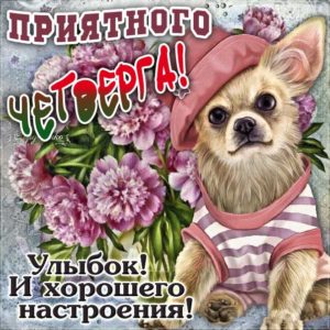 Красивые открытки четверг