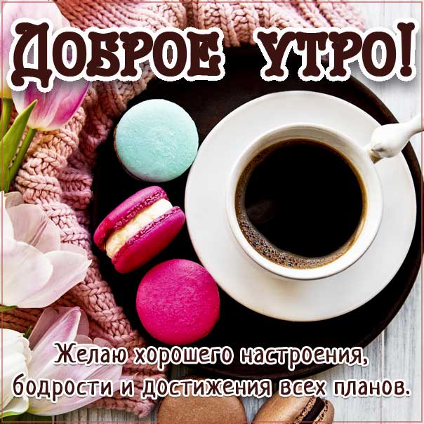 Доброе утро, успешного утра, романтического утра, удачного утра, сказочно красивого утра, сладкого утра, восхитительного утра, бодрого тебе утра, солнечного утра, чудесных эмоций, замечательного утра