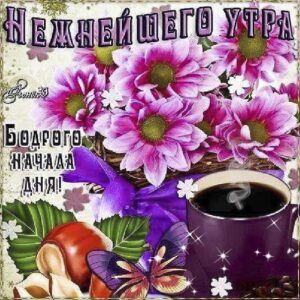Бодрого утра открытки