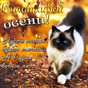 Пожелание счастливой осени gif