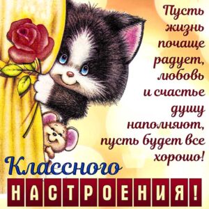 Чудесного настроения