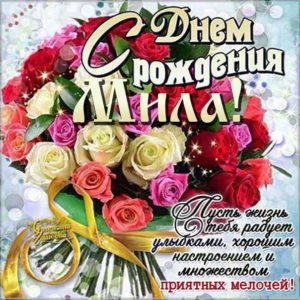 Мила гиф картинки день рождения