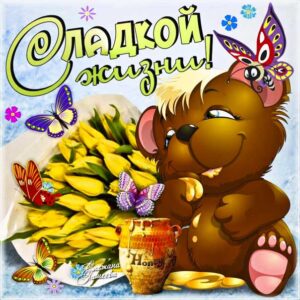 Картинки сладкой жизни