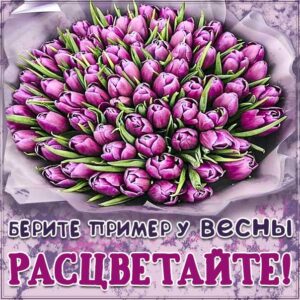 Комплимент расцветай хорошей