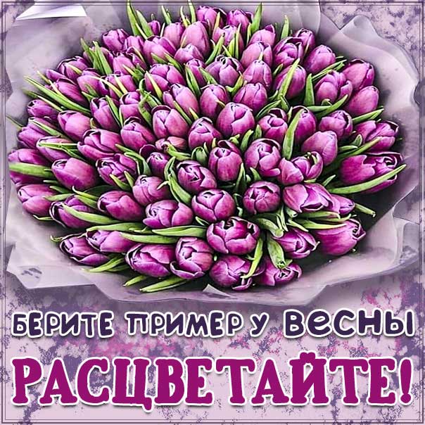 Комплимент расцветай хорошей, букет тюльпанов, картинка с надписью и цветами, девушке комплимент пожелание, женщине комплимент пожелание, красивое весеннее пожелание