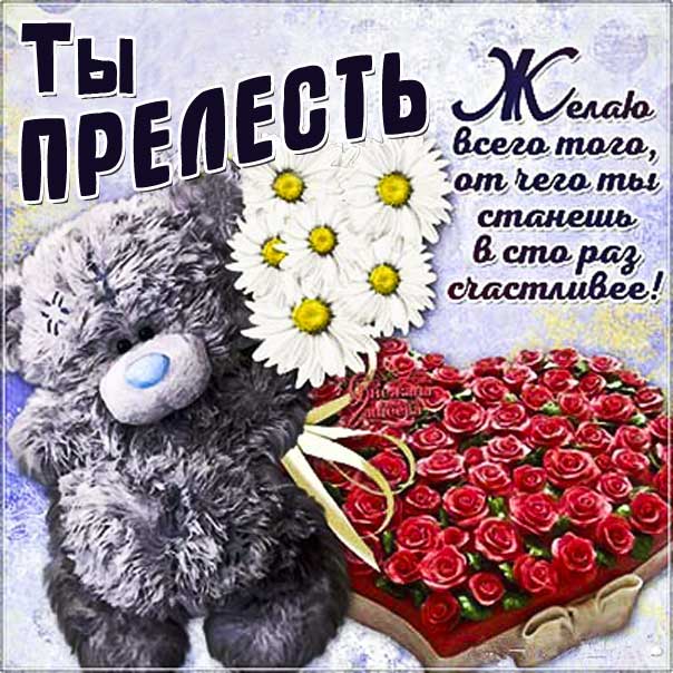 Картинка комплимент со словами. Комплимент девушке, комплимент подруге, комплимент женщине, плюшевый мишка, розы, с текстом.