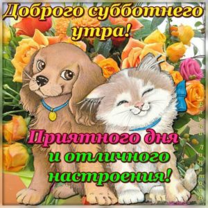 Позитивная открытка Суббота