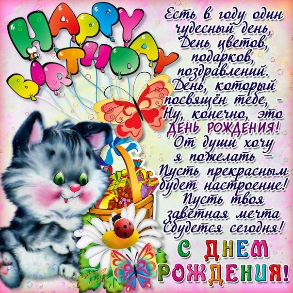 Открытка на день рождения котенок с цветами