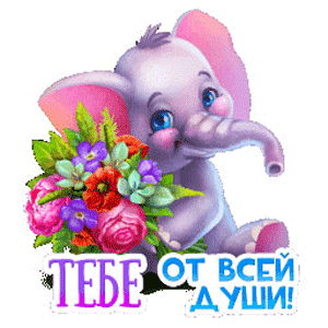 Анимация подарок цветы слоненок