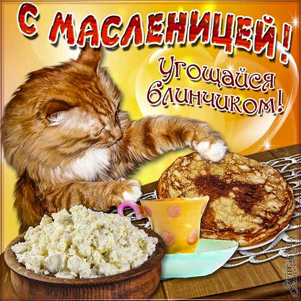 масленица пришла картинки, на масленицу открытки, к масленице картинка, с масленицей картинки, масленица gif картинка, масленица анимация