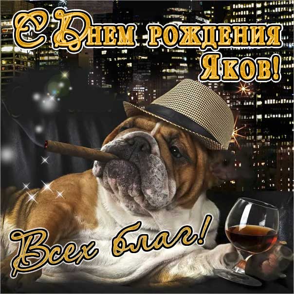 С днем рождения Яков картинки, Якову открытка с днем рождения, Яшу с днем рождения, Яша с днем рождения анимация, Яшечка именины картинки, поздравить Якова, для Яши с днем рождения gif