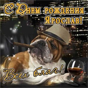 Ярославу картинка с днем рождения