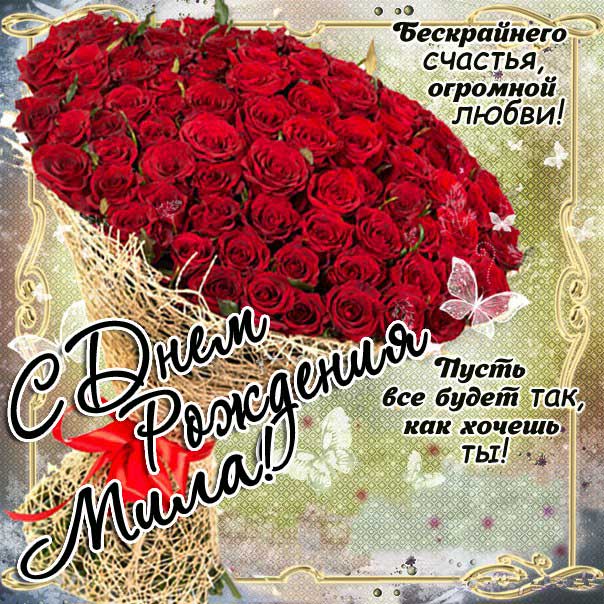 Открытка День рождения Мила. Розы, букет, красные розочки, со словами, сияние, мигающие, стихи, картинки поздравительные, большой букет.
