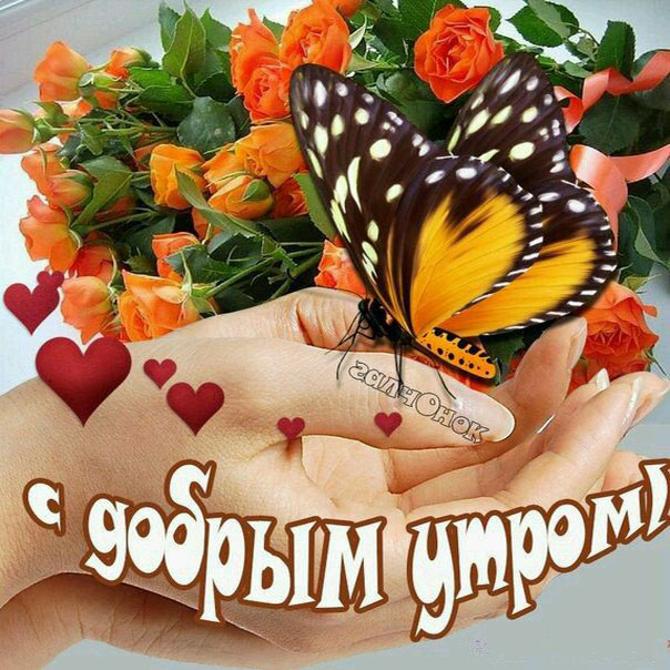 Доброе утро замечательное пожелание картинки