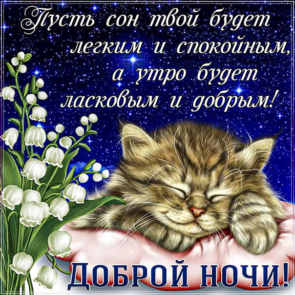 спокойной ночи, доброй ночи, сладких снов, приятных снов, нежных сновидений, снов хороших, цветных снов, прекрасных снов