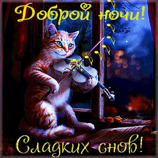 спокойной ночи, доброй ночи, сладких снов, приятных снов, нежных сновидений, снов хороших, цветных снов, прекрасных снов