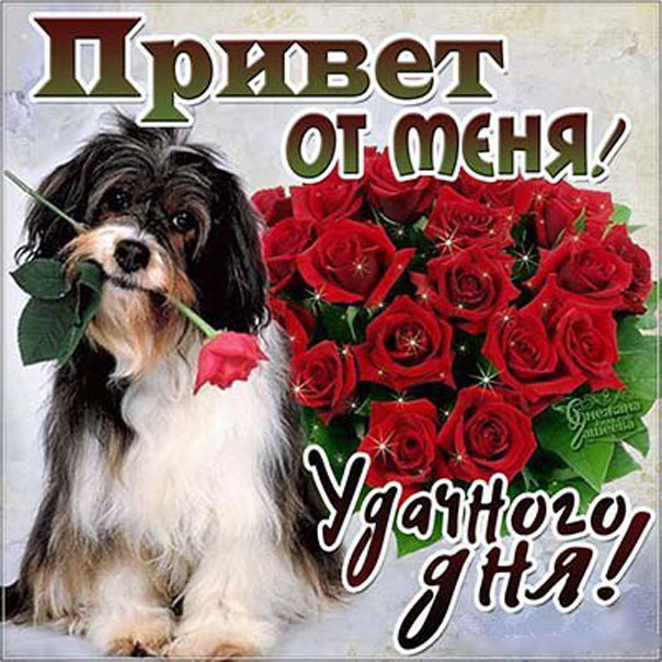 Красивые открытки хорошего дня
