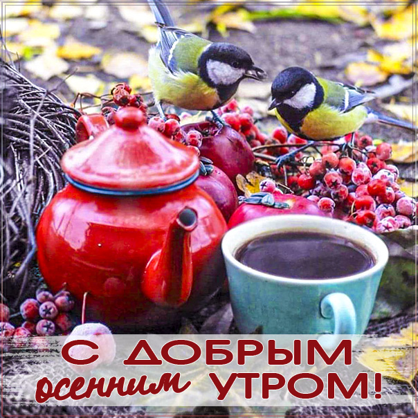 доброе осеннее утро, с добрым осенним утром, позитивного утра и улыбок, синички осень картинка утро, про утро картинка, утро рябина осень, приветствие осеннее утреннее
