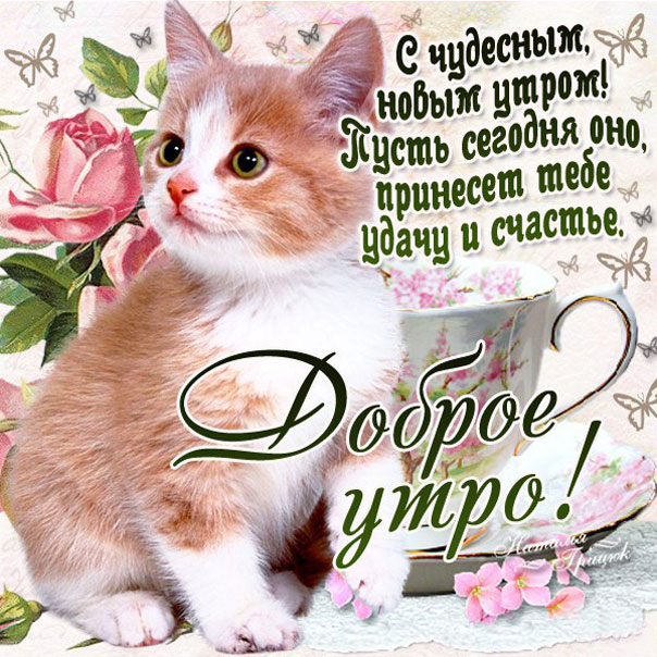 Чудесное утро с новым днем