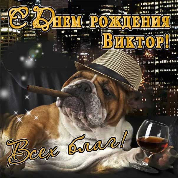 С днем рождения Виктор картинки, Вите открытка с днем рождения, Витенька с днем рождения, Витек с днем рождения анимация, прикольная картинка, доллары, Виктор именины картинки, поздравить Витю, для Виктора с днем рождения открытки