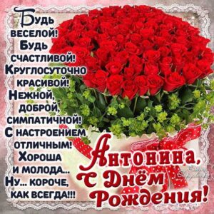 Антонина популярные открытки именины