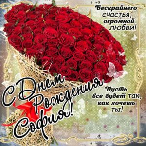 София картинки мерцание день рождения