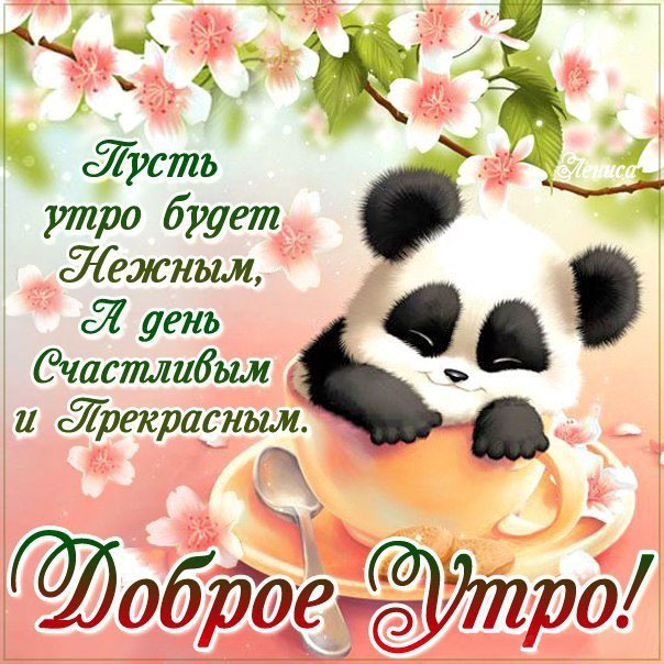 Нежное доброе утро. Счастливый день