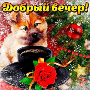 Открытка доброго зимнего вечера