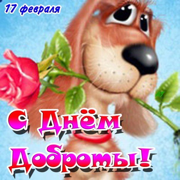 Картинка с надписью 17 февраля. День доброты, букет добрый, с надписью добра тебе, с добротой день, с бликами, эффекты, открытка с пожеланием, мерцающая.