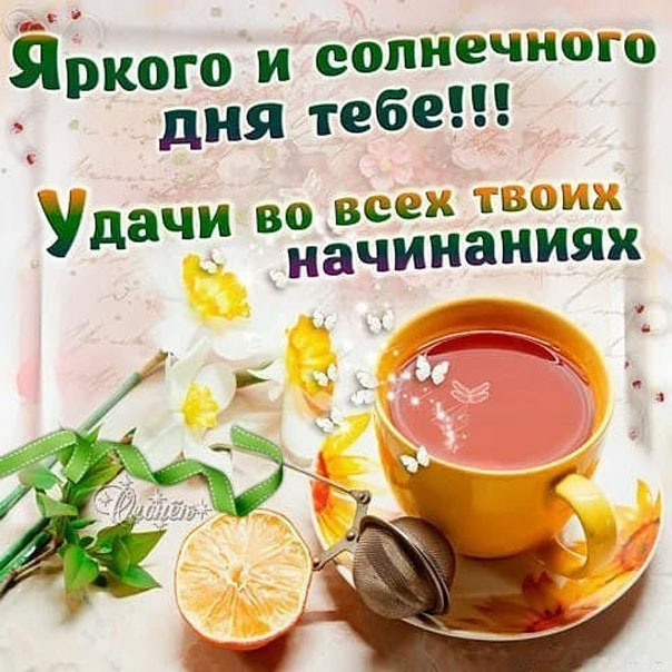 Солнечного дня удачи на весь день