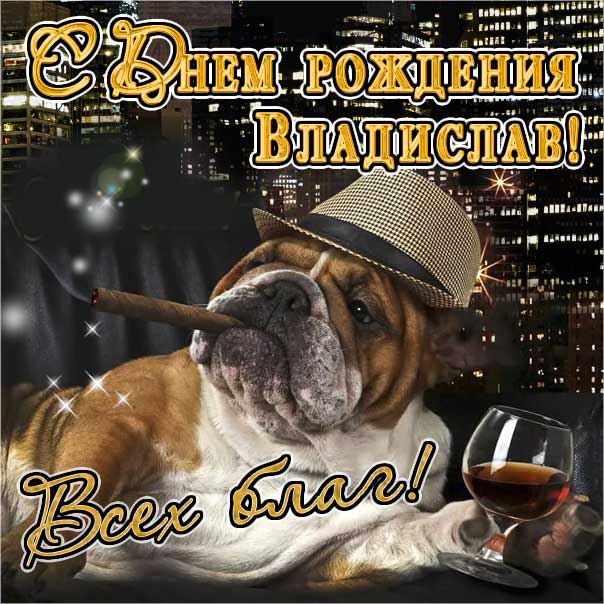 С днем рождения Владислав картинки, Владиславу открытка с днем рождения, Влад с днем рождения, Владик с днем рождения анимация, Влада именины картинки, поздравить Владислава, для Владика с днем рождения
