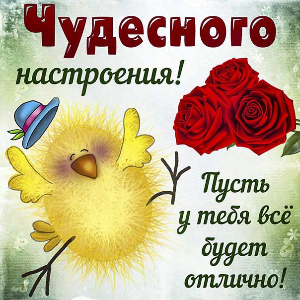 Открытка для чудесного настроения, пожелание с веселым цыплёнком и розами