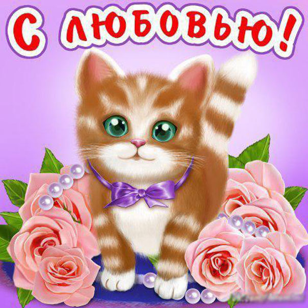 Я тебя Люблю открытки бесплатно