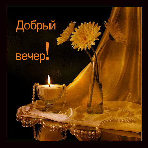 Добрый Вечер