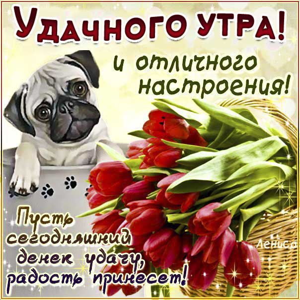 Веселая картинка доброе утро. Со словами позитивного утречка, собака, цветы, лучшего дня, цветы, мигающие, стихи, картинки желаю, отличного настроения, открытка.
