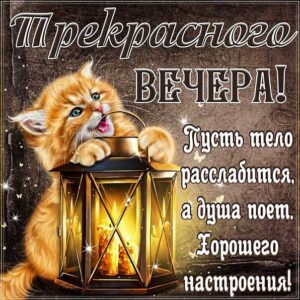 Прекрасного вечера в картинках
