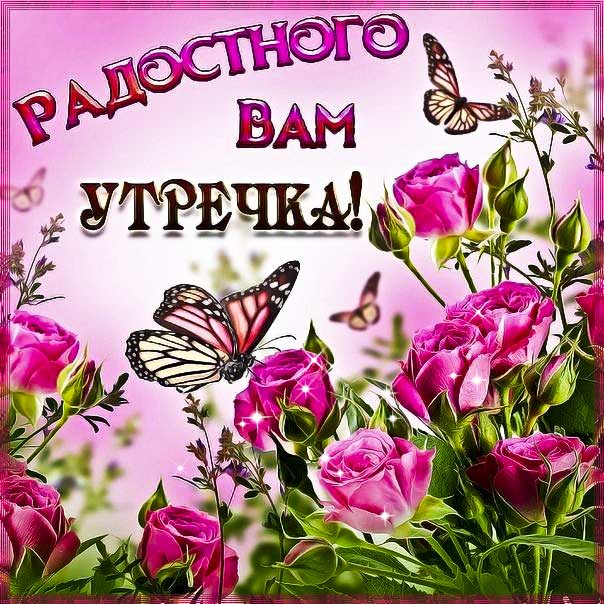 Картинки радостного утра. Отличного утра приятных впечатлений, розы утро, текст доброго дня, надпись, доброе утро, узоры, с фразами, мерцающая.