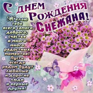 Снежана с днем рождения гиф