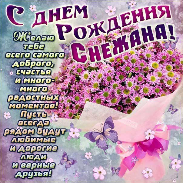 Снежаночка с Днем рождения картинка с поздравлением. Букет, ромашки, красивые цветы, надпись, стих, украшения, мигающая, открытка, мерцающая, с бликами.