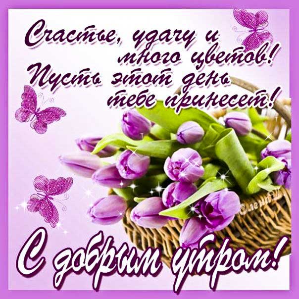 Картинка с добрым утром. Нежного утра, прекрасного дня надпись, с бликами позитивного утра, тюльпаны, утренний позитив, стихотворение, стих, с бликами, мерцающие, фразы, узоры.