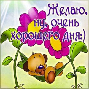 Отличного дня